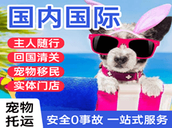 龙嘉机场货运国际宠物托运 【国